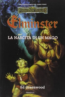 Эд Гринвуд Elminster: la nascita di un mago обложка книги