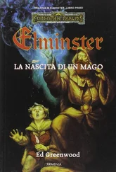 Эд Гринвуд - Elminster - la nascita di un mago