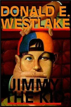 Donald Westlake Jimmy The Kid обложка книги