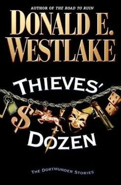 Donald Westlake Thieves' Dozen обложка книги