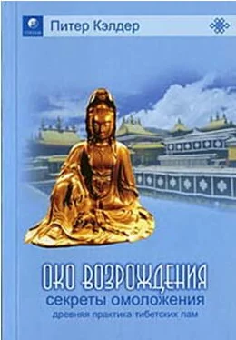 Питер Кэлдер Око возрождения обложка книги