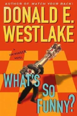 Donald Westlake What's So Funny? обложка книги