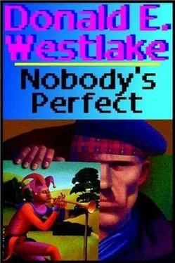 Donald Westlake Nobody's Perfect обложка книги