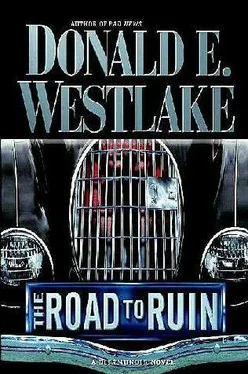 Donald Westlake The Road To Ruin обложка книги