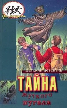 Мэри Кэри Тайна жуткого пугала обложка книги