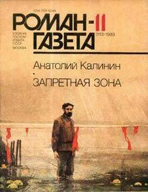 Анатолий Калинин Братья обложка книги