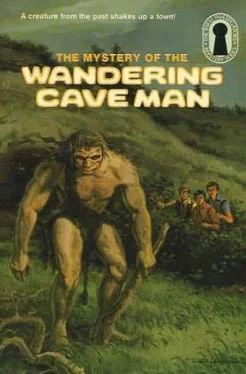 Мэри Кэри Тайна пещерного человека обложка книги