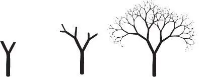 This same fractal basis of the natural world is found everywhere From the - фото 11