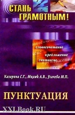 С. Казарина Пунктуация обложка книги