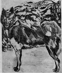 Валериан Белоусов - Лайка и её натаска