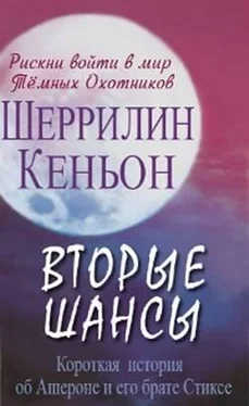 Шеррилин Кеньон Вторые Шансы обложка книги