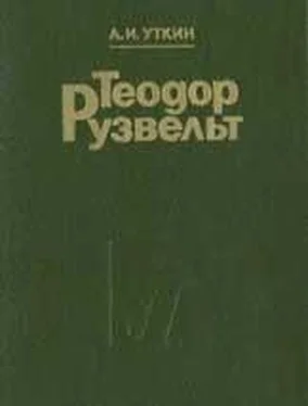 Анатолий Уткин Теодор Рузвельт. Политический портрет обложка книги