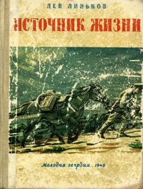 Лев Линьков Источник жизни обложка книги