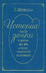 Екатерина Матвеева - История одной зечки и других з/к, з/к, а также некоторых вольняшек