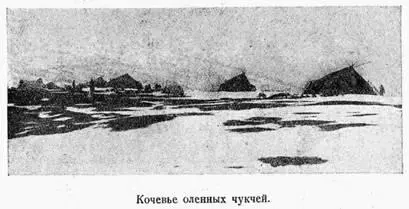 Живущие на восточном берегу Чукотского полуострова чукчи и эскимосы промышляют - фото 4