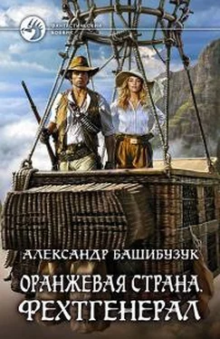 Александр Башибузук Оранжевая страна. Фехтгенерал [litres] обложка книги