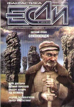 Евгений Гаркушев 2010 № 1 обложка книги