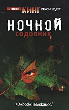 Джордж Пелеканос Ночной садовник обложка книги