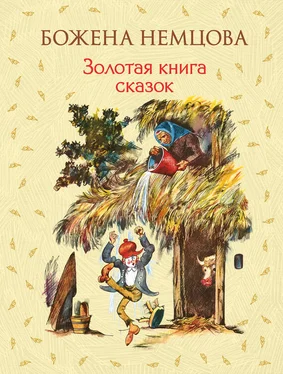 Божена Немцова Золотая книга сказок обложка книги