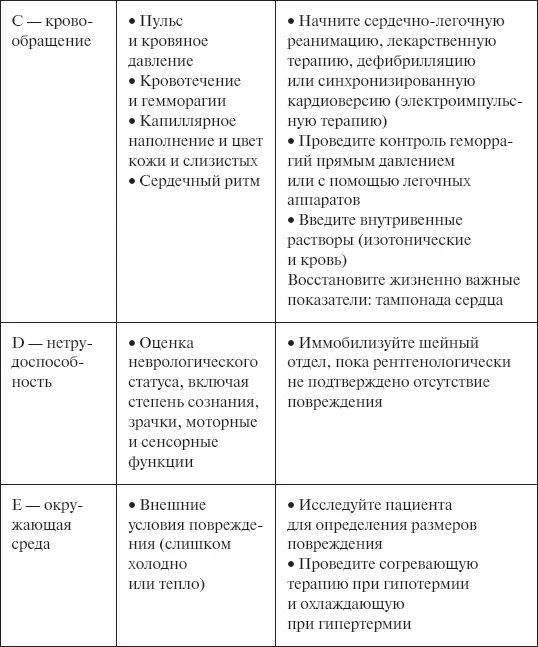 Вторичный осмотр После первичного осмотра производят более детальный вторичный - фото 24