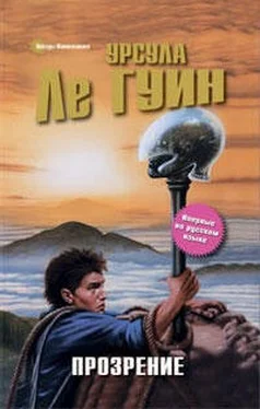 Урсула Ле Гуин Прозрение обложка книги