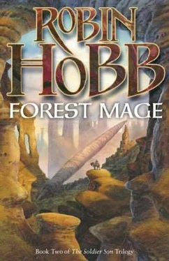 Robin Hobb Forest Mage обложка книги