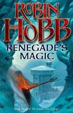 Robin Hobb Renegade's Magic обложка книги