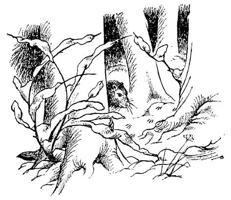 Я теж помітив підтвердив Пітер Воно все ще там сховалося за великим - фото 18