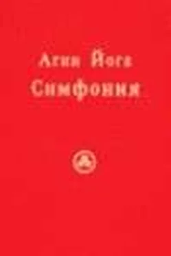 Сергей Ключников Агни Йога. Симфония. Книга II обложка книги