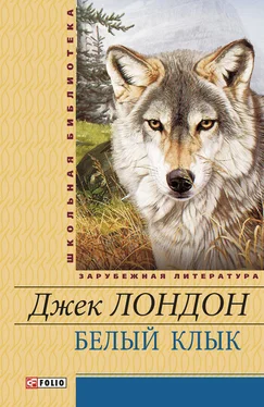 Джек Лондон Белый Клык [сборник] обложка книги