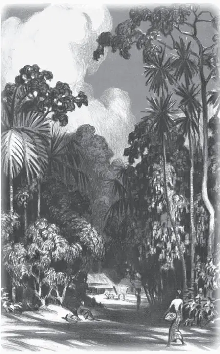 Він вискочив у вікно і знову кинувся бігти ховаючись під сільською огорожею - фото 7