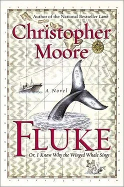 Christopher Moore Fluke, Or, I Know Why the Winged Whale Sings обложка книги