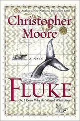 Christopher Moore - Fluke, Or, I Know Why the Winged Whale Sings