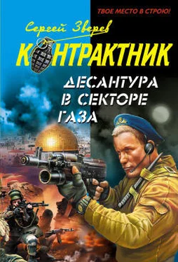 Сергей Зверев Десантура в секторе Газа обложка книги