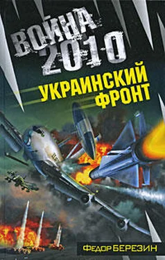 Федор Березин Война 2010: Украинский фронт обложка книги