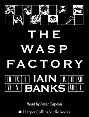 Iain Banks The Wasp Factory обложка книги