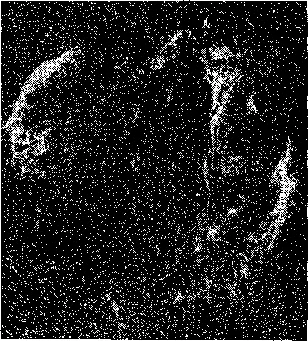 Рис 162Фотография тонковолокнистых туманностей остатков вспышки сверхновой - фото 612