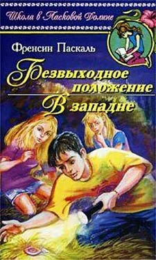 Фрэнсин Паскаль В западне обложка книги