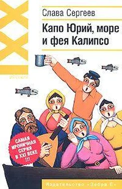 Слава Сергеев Тайный агент, или Коронация обложка книги