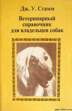 Дж. Стамм Ветеринарный справочник для владельцев собак обложка книги