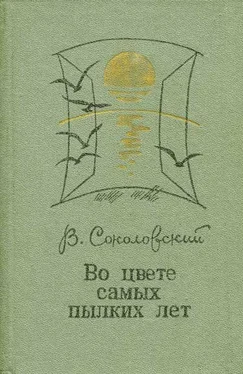 Владимир Соколовский Двойной узел обложка книги