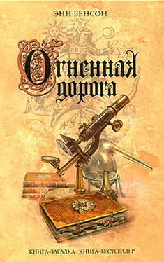 Энн Бенсон Огненная дорога обложка книги