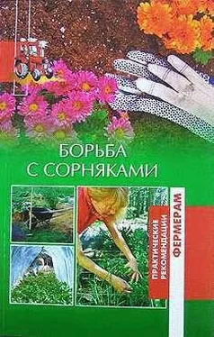 Ольга Шумахер Борьба с сорняками обложка книги