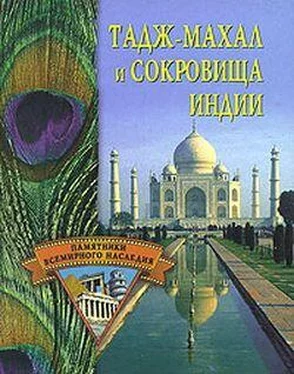 Светлана Ермакова Тадж-Махал и сокровища Индии обложка книги