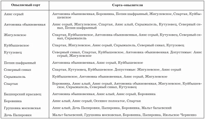 Груша Груша не получила широкого распространения на территории России в силу - фото 14