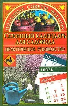 Марина Куропаткина Сезонный календарь для садовода обложка книги