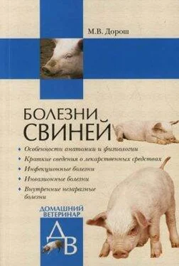 Мария Дорош Болезни свиней обложка книги