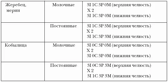 Прямо в полость рта открывается несколько парных слюнных желез названия - фото 17
