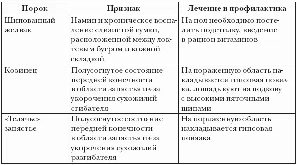 На то что лошадь хромает указывают кивки головой при движении лошадь - фото 39