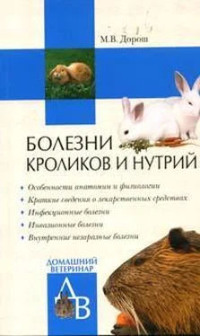 Мария Дорош Болезни кроликов и нутрий обложка книги